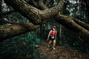 BIB: 
                            <button type="button" onclick="openModal(25701016)" class="btn btn-primary btn-sm float-right btn-popup" data-toggle="modal" data-target=".modal-high-quality">
                        <i class="fas fa-shopping-cart"></i> Add to Cart
                    </button>
                                            <button type="button" onclick="isThisMe(25701016, true)" class="btn btn-success btn-sm float-right btn-popup btn-isme hidden" data-toggle="tooltip" data-placement="bottom" title="นี่คือรูปของคุณใช่ไหม คลิกที่นี่เพื่อเอาเข้าอัลบั้ม">
                        <i class="fas fa-plus"></i> Add to album
                    </button>
                    <button type="button" onclick="isThisMe(25701016, false)" class="btn btn-warning btn-sm float-right btn-popup btn-isnotme hidden">
                        <i class="fas fa-ban"></i> Remove from album
                    </button>